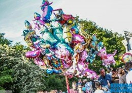 11118489_1156435204383208_4034799924933445653_o