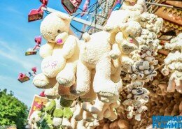 11312878_1156435321049863_5214457068219934435_o