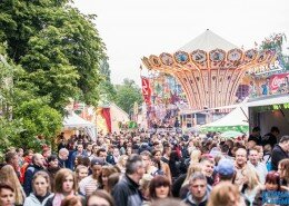 11336918_1149919138368148_329710486451874607_o