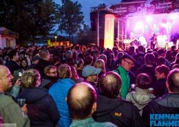 478703_1156421744384554_2303989351882318719_o